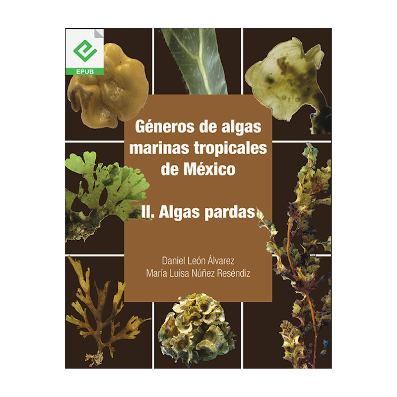 Géneros de algas marinas tropicales de México. II. Algas pardas