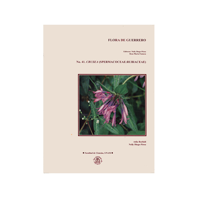 No. 41. Crusea (Spermacoceae, Rubiaceae)