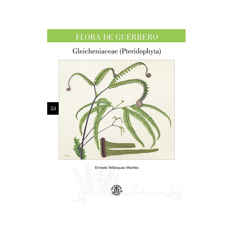 No. 53. Gleicheniaceae