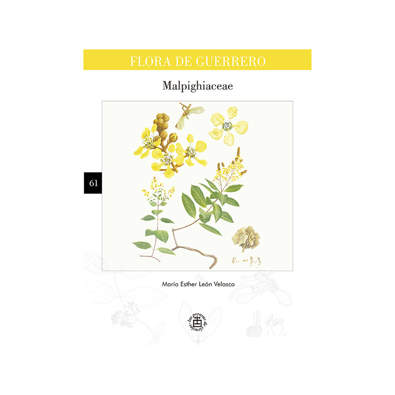 No. 61. Malpighiaceae