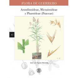 No. 67. Arundinoideae, Micrairoideae y Pharoideae (Poaceae)