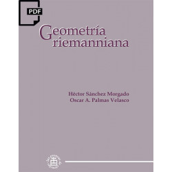 Geometría riemanniana