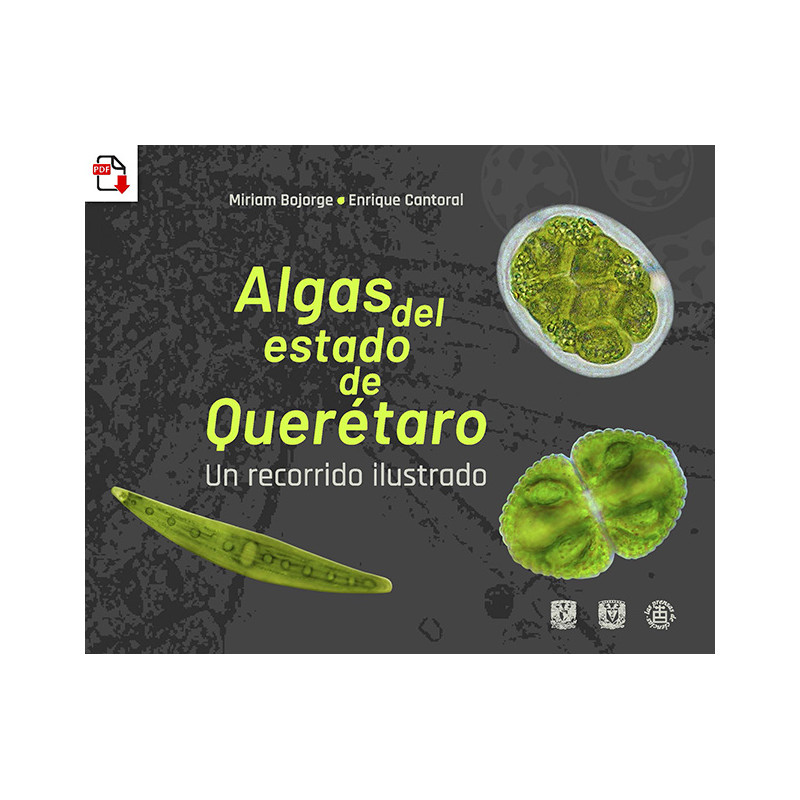 Algas del estado de Querétaro: un recorrido ilustrado (versión PDF)