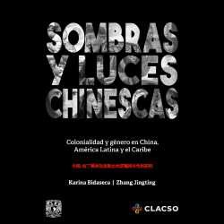 Sombras y Luces Chinescas....
