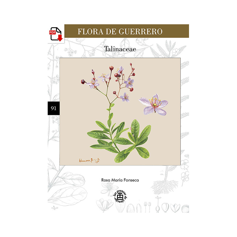 Flora de Guerrero 91. Talinaceae