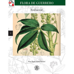 Flora de Guerrero N° 1....