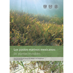 Los pastos marinos mexicanos: las plantas invisibles