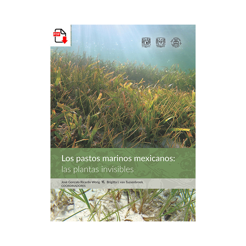 Los pastos marinos mexicanos: las plantas invisibles (versión PDF)