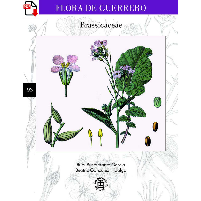 Flora de Guerrero 93. Brassicaceae (versión PDF)