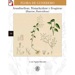 Flora de Guerrero 94. Arundinelleae, Tristachyideae y Zeugiteae (Poaceae, Panicoideae) (versión PDF)
