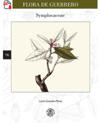 Flora de Guerrero 96. Symplocaceae
