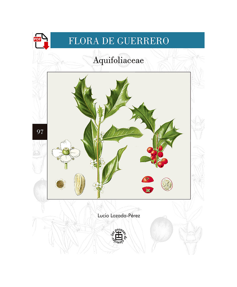 Flora de Guerrero 97. Aquifoliaceae