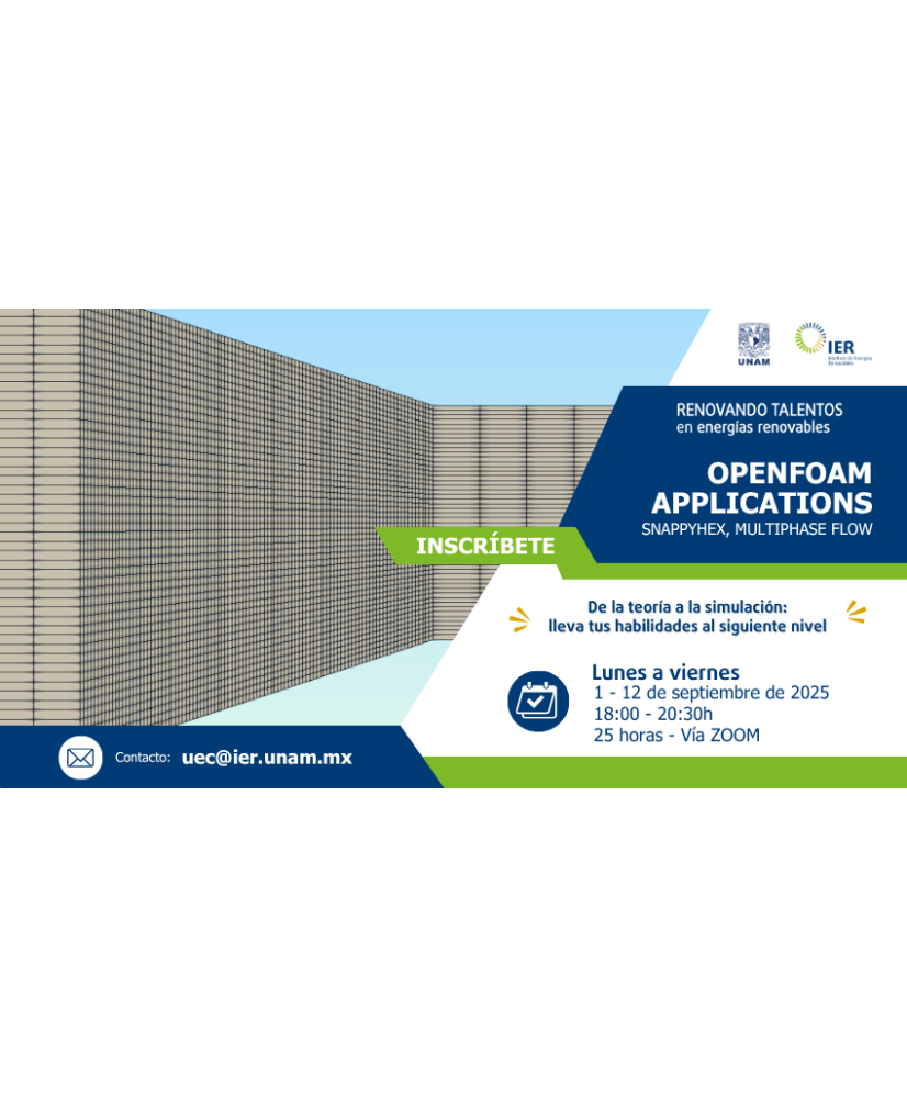 Admisión General: OpenFOAM - Applications (snappyHexMesh - Multiphase Flow)