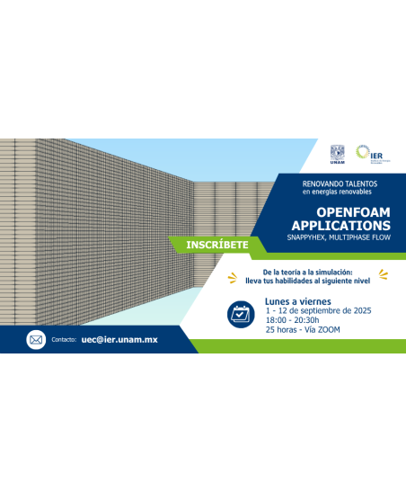 Admisión General: OpenFOAM - Applications (snappyHexMesh - Multiphase Flow)
