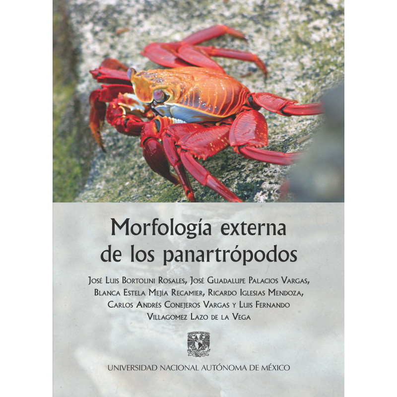 Morfología externa de los panartrópodos