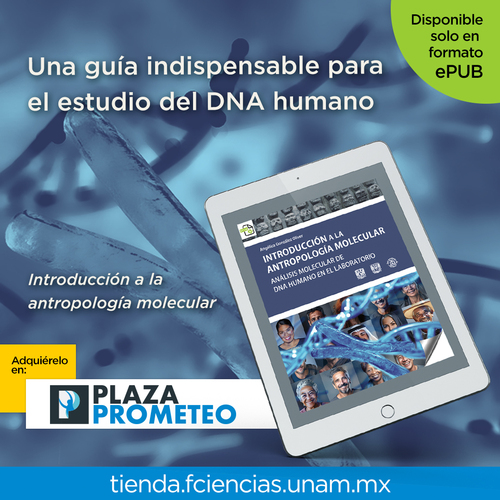 instagram-4 ¿Te interesa el campo de investigación del DNA humano? 🔬🧬 Entonces este libro no puede faltar en tu biblioteca. ☝️🧐

Disponible #SóloEn https://tienda.fciencias.unam.mx/es/ en formato digital.